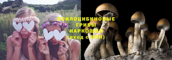 альфа пвп Богородицк