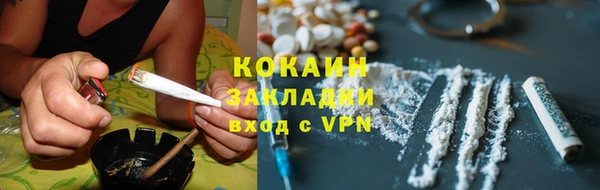эйфоретик Богданович