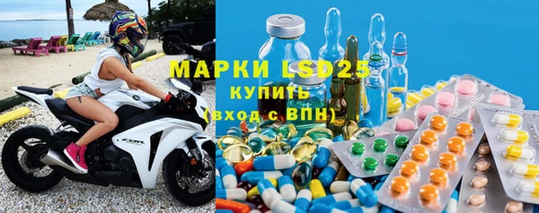 шишки Бородино